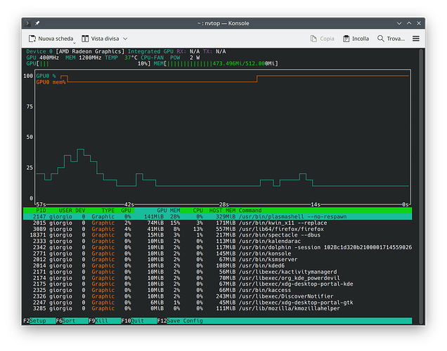 nvtop_1