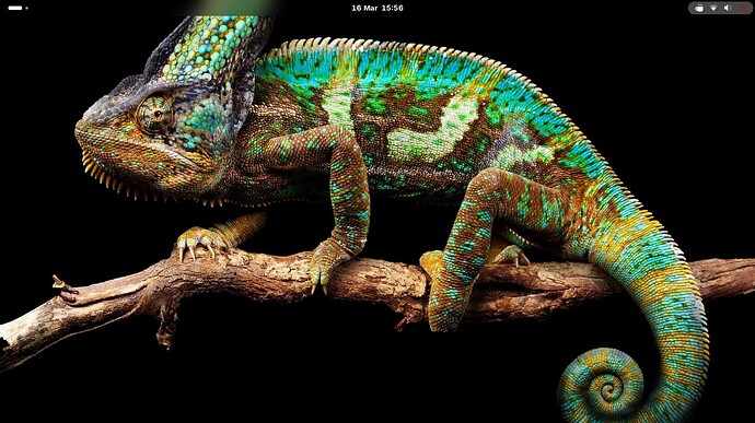 Screenshot From 2026-03-16 15-56-41