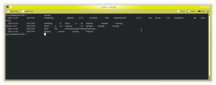 no startx servercasa-Screenshot_20251204_092735