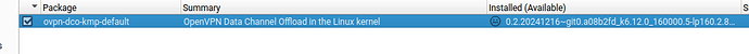 Leap160-Myrlyn-kernel-module-openvpn
