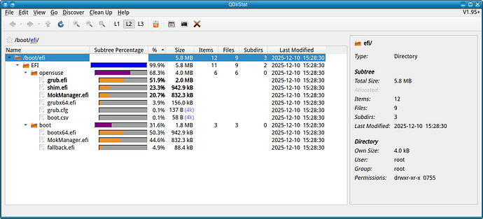 QDirStat-boot-efi