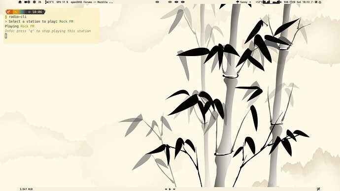 2024-12-28-101356_1920x1080_scrot