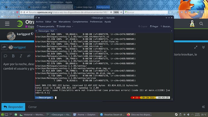 Final de rsync