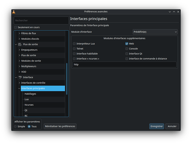 enable_web_access