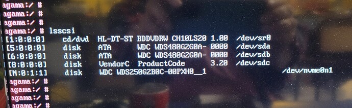 lsscsi