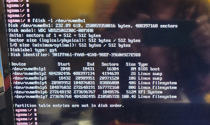 fdisk n1