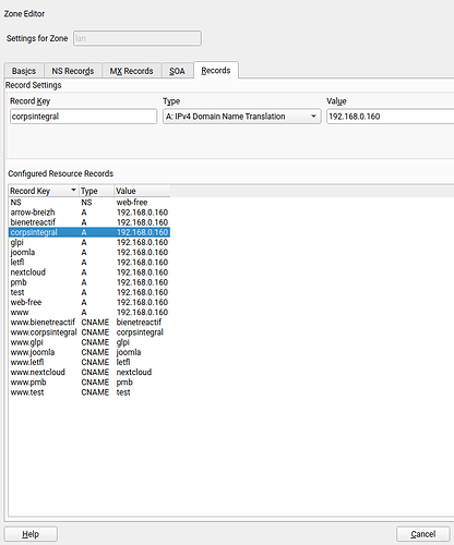 records dns