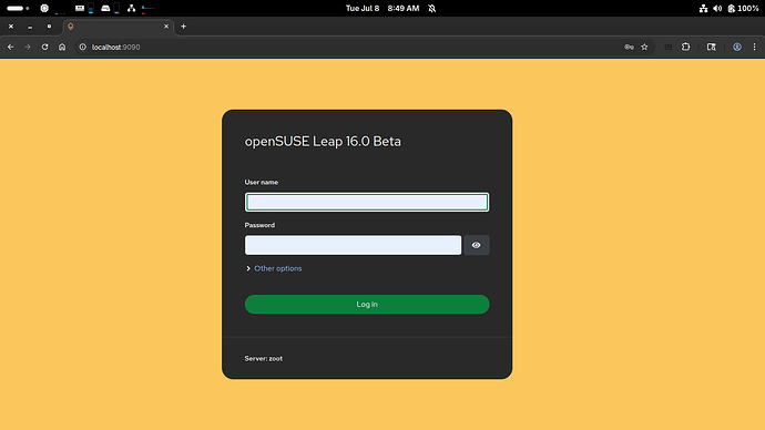 Screenshot From 2025-07-08 08-49-59