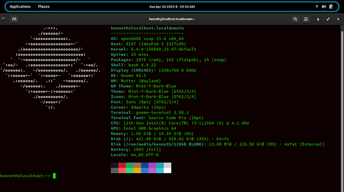 Screenshot from 2025-04-20 08-09-09
