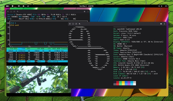 Screenshot From 2026-05-03 13-48-45 (Edit)