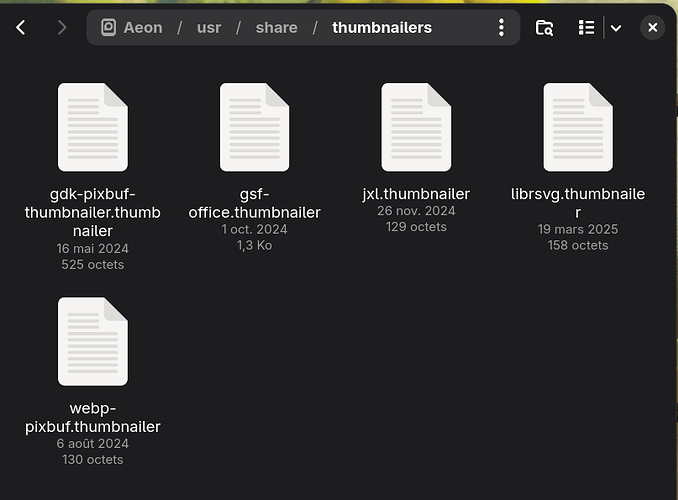 Capture d’écran du 2025-05-08 16-15-48