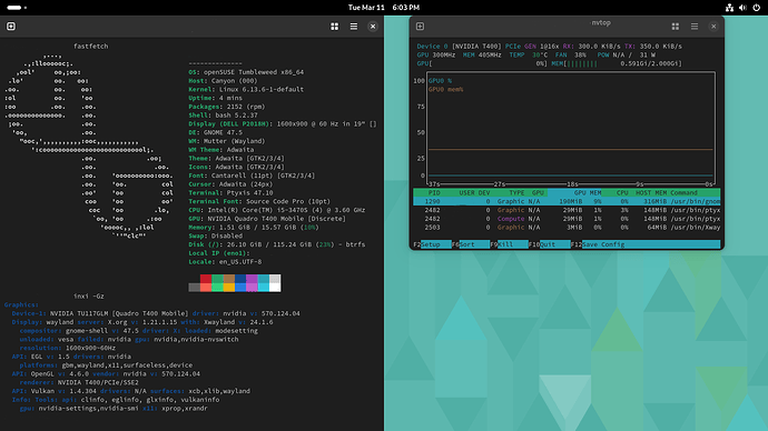 Screenshot From 2025-03-11 18-03-53